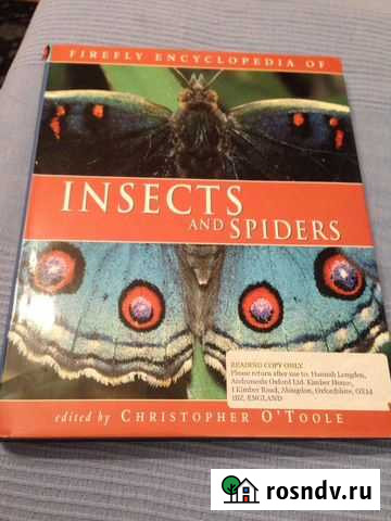Энциклопедия насекомых на английском языке Химки - изображение 1