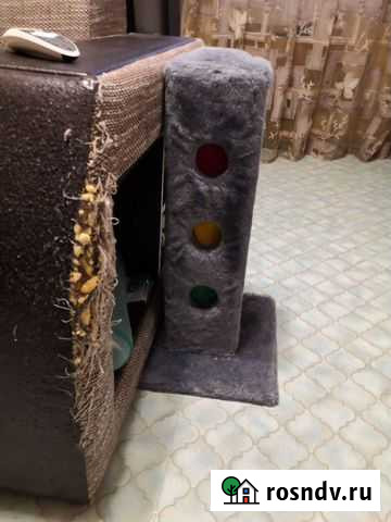 Когтеточка Сургут - изображение 1