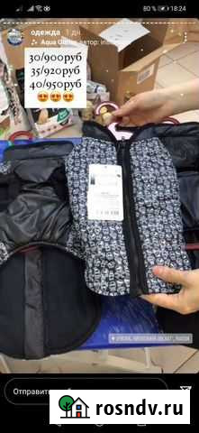 Жилет для собаки Киров - изображение 1