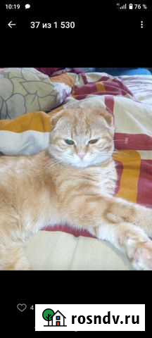 Гостиница для животных Выльгорт - изображение 1