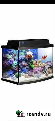 Аквариум Старая Станица - изображение 1