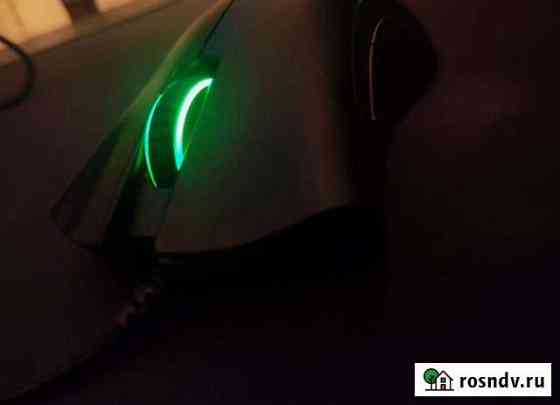 Мышь Razer Deathadder Essential Волгоград