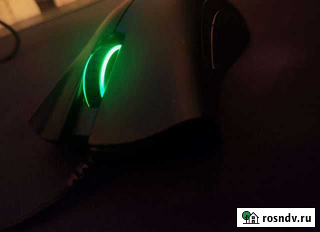 Мышь Razer Deathadder Essential Волгоград - изображение 1