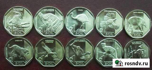 Красная книга Перу Тихорецк - изображение 1