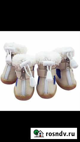 Обувь для собак Нижневартовск - изображение 1