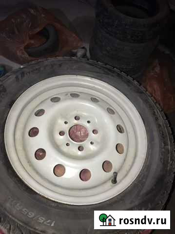 14 шипы Махачкала - изображение 1