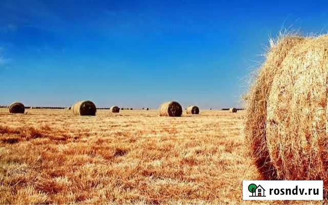 Сено Тамбовка - изображение 1