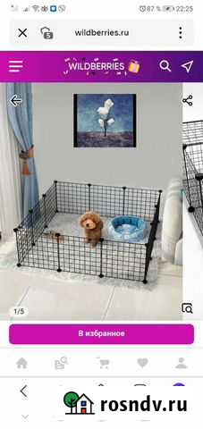 Домик для собак Чехов - изображение 1