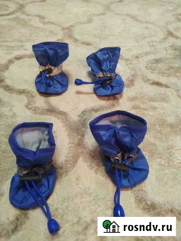 Обувь для маленьких собак Смоленск - изображение 1