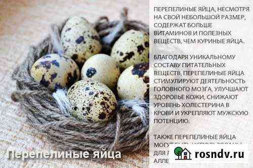Перепелинные яйца, майонез, мясо Петропавловск-Камчатский