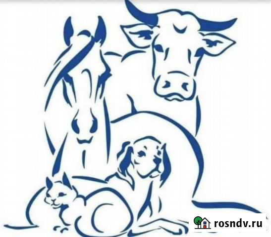 Кастрация, обезроживание, стрижка копыт и когтей Тавда - изображение 1