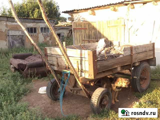 Телега для лошади Илек - изображение 1