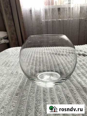 Аквариум Одинцово - изображение 1