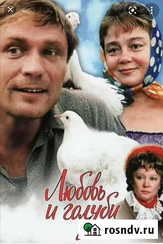 DVD-диск Рыбинск - изображение 1