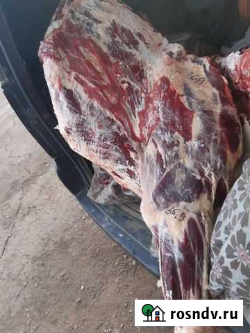 Мясо говядина Чита - изображение 1