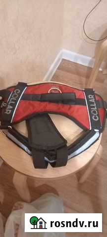 Шлейка для собаки Ярославль - изображение 1