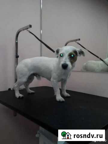 Груммер Санкт-Петербург - изображение 1