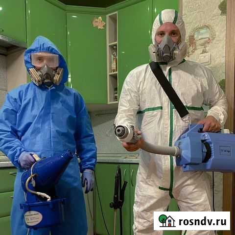 Уничтожение Тараканов, Насекомых, Клопов Астрахань - изображение 1