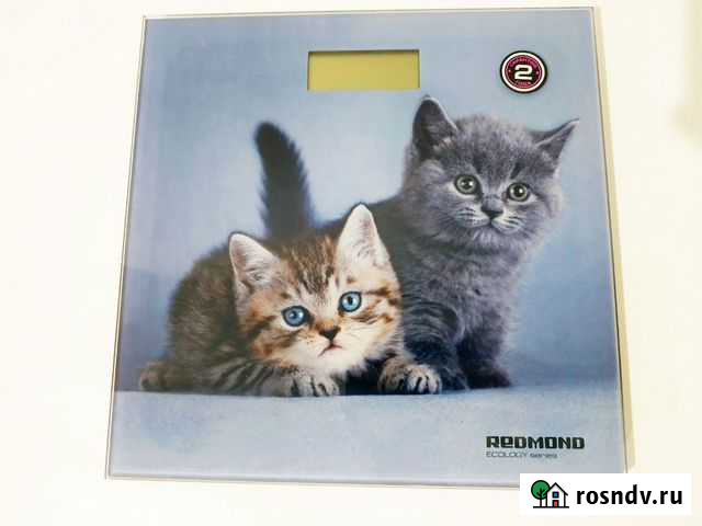 Напольные весы Грозный - изображение 1