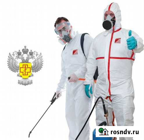 Уничтожение клопов, тараканов. Гарантия Дзержинск - изображение 1