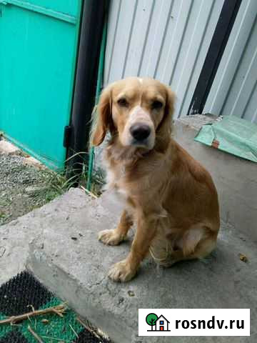 Вязка Валуйки - изображение 1