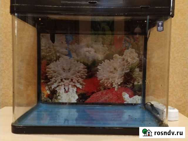 Аквариум Альметьевск - изображение 1