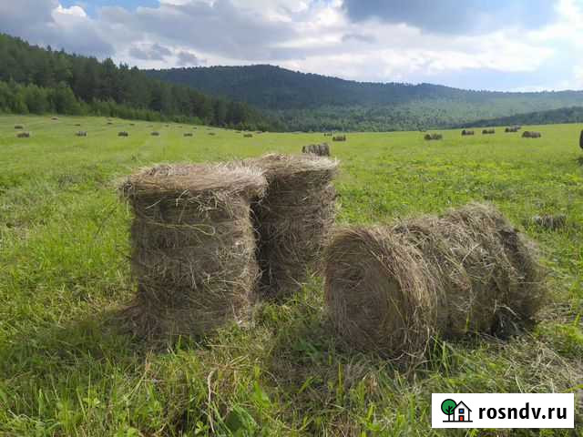 Сено, солома в маленьких рулонах Абакан - изображение 1