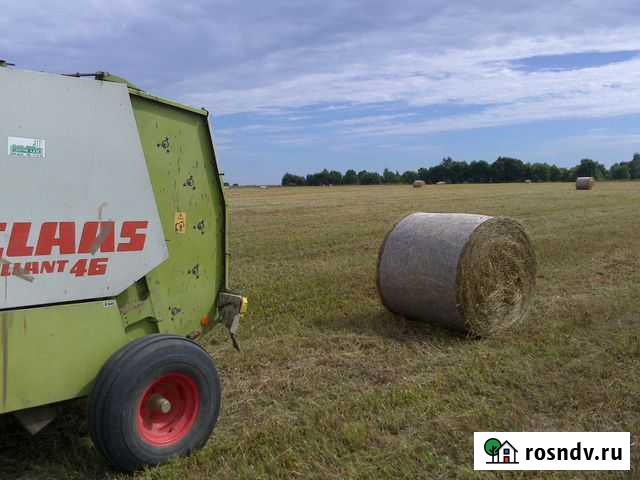 Сено Великий Новгород - изображение 1