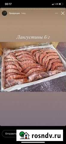 Лангустины Дмитров - изображение 1