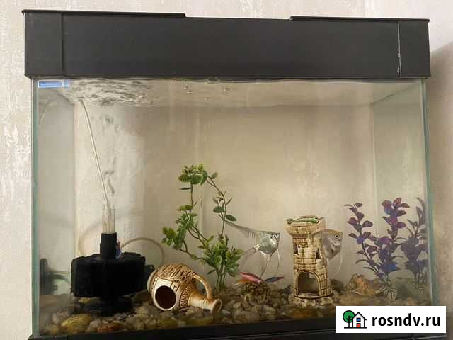 Аквариум с тумбой Уфа - изображение 1