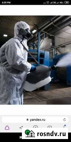 Уничтожение клопов и тараканов и др. насекомых Куйбышев - изображение 1