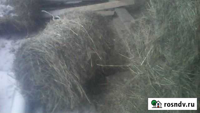 Сено в рулонах Тельма - изображение 1