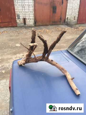 Коряги в аквариум Рязань - изображение 1