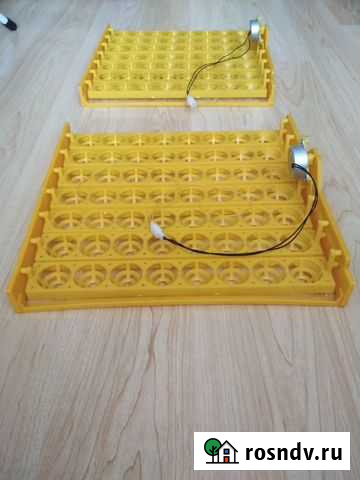 Лоток инкубатора Пенза - изображение 1