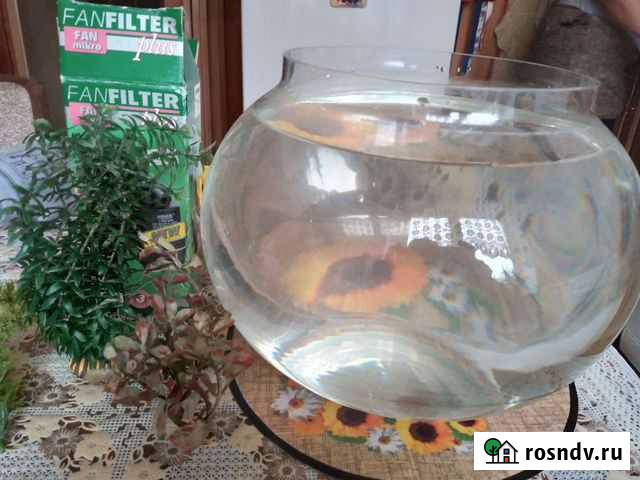 Аквариум Ростов-на-Дону - изображение 1