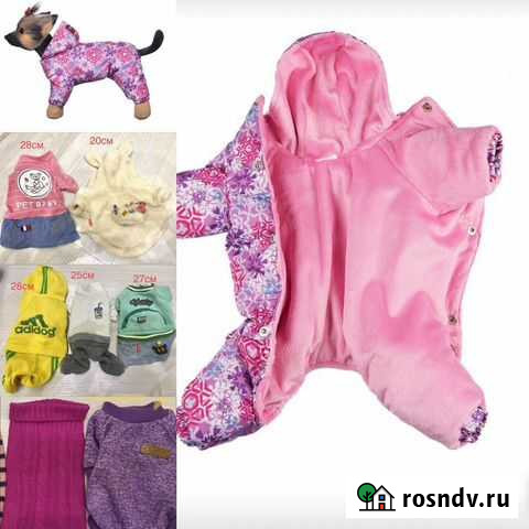 Одежда и обувь для собак мелких пород Владимир - изображение 1