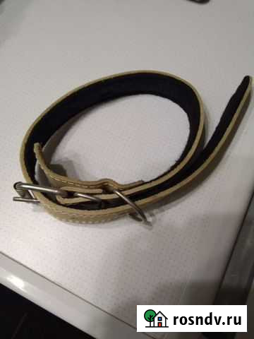 Ошейник Калач-на-Дону - изображение 1