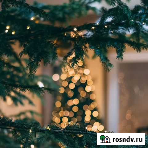 Продам Салон Красоты Кемерово - изображение 1