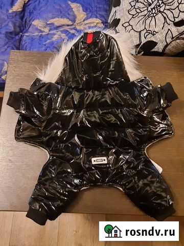 Одежда для маленьких собак Моршанск - изображение 1