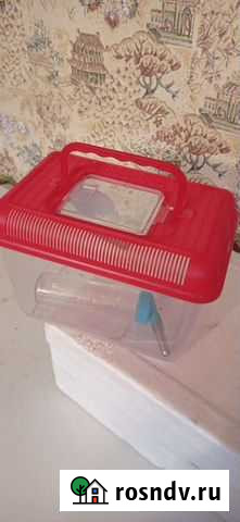 Переноска для грызунов и поилка Улан-Удэ - изображение 1