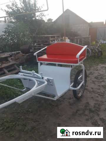 Двуколка для пони Знаменка - изображение 1