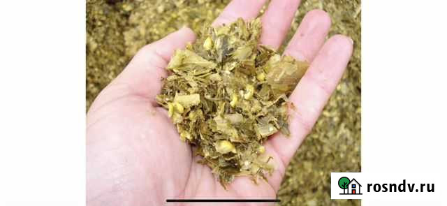 Силос кукурузный Гороховец - изображение 1