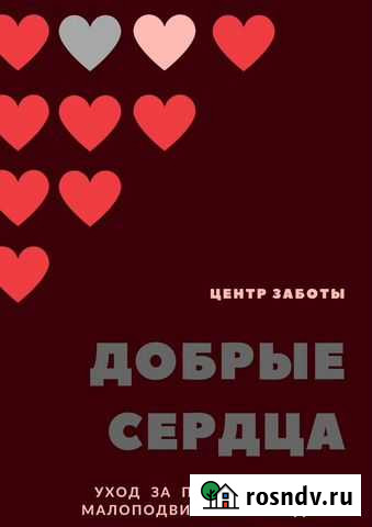 Сиделка на любое время Иваново - изображение 1