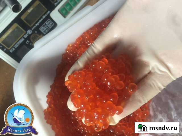 Красная икра от производителя опт/Розница Сокур - изображение 1