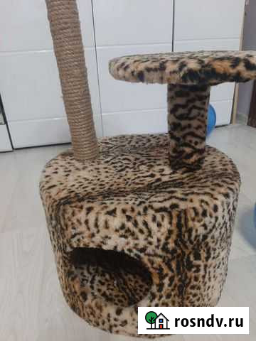 Домик для кошки Киров - изображение 1