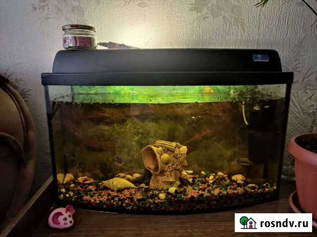 Аквариум Зарайск - изображение 1