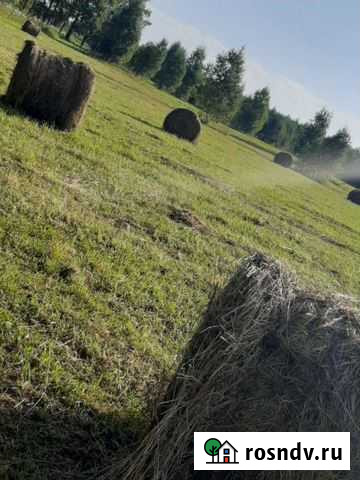 Сено Прокопьевск - изображение 1