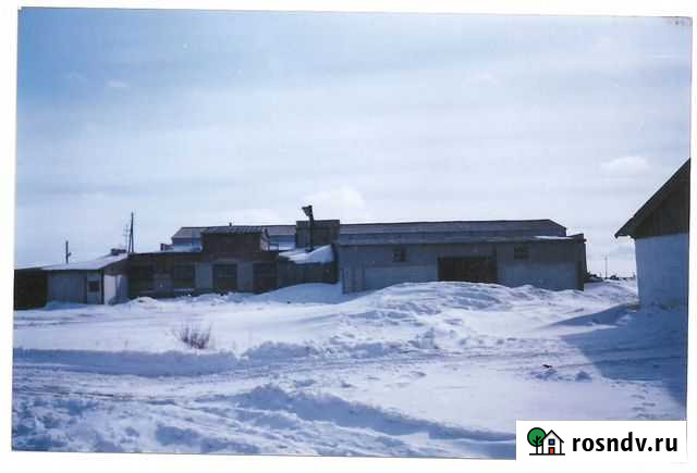 Мукомольный комплекс Барнаул - изображение 1