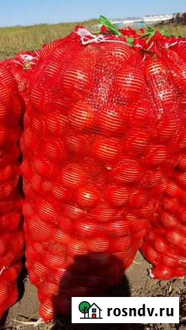 Лук 4-7 Веселый - изображение 1