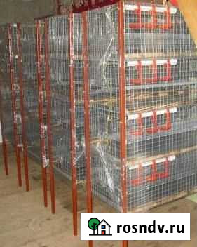 Профессинальные клетки для перепелов Чебоксары - изображение 1